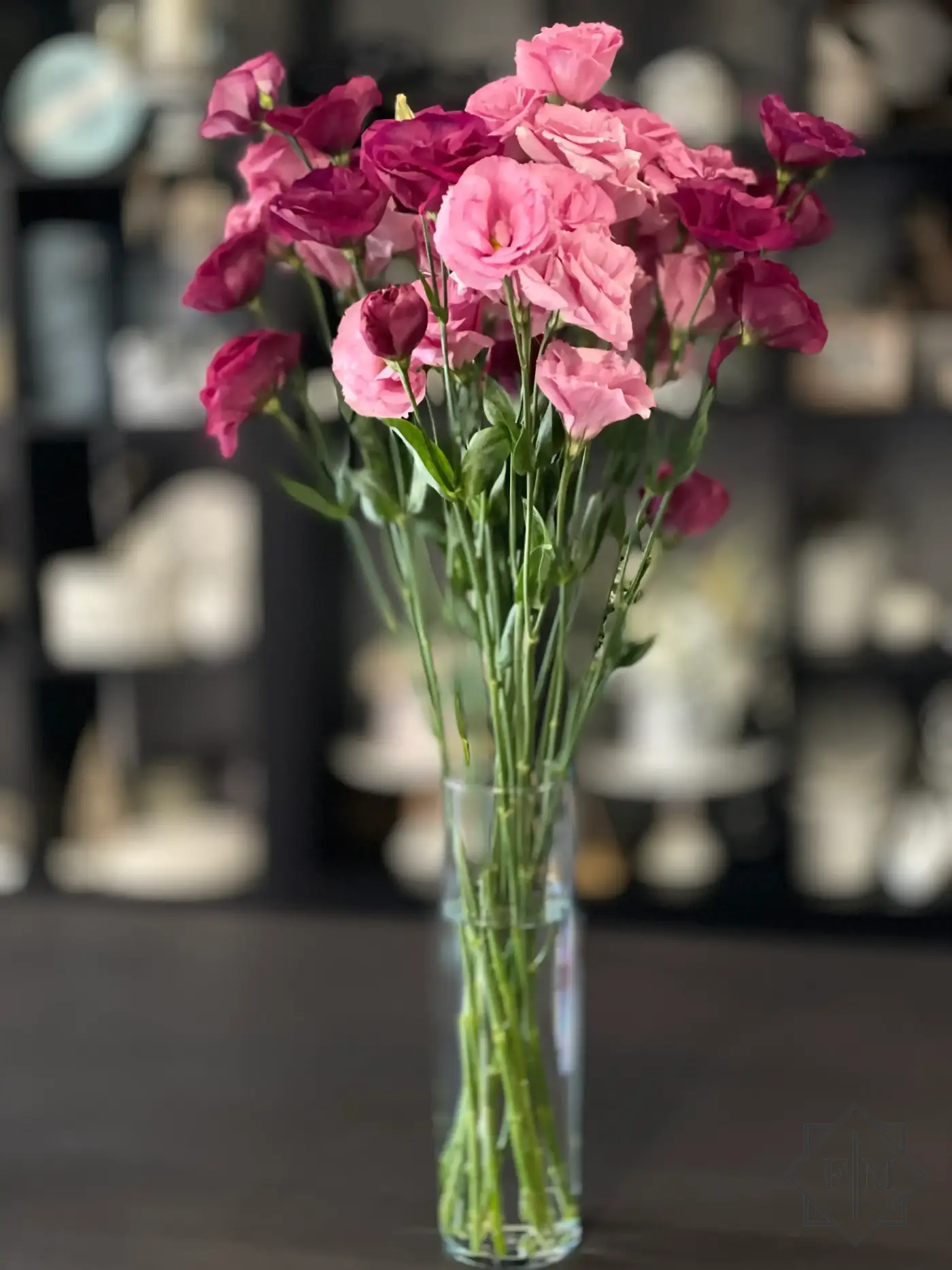 Lisianthus MIX -  "Tiz történet"