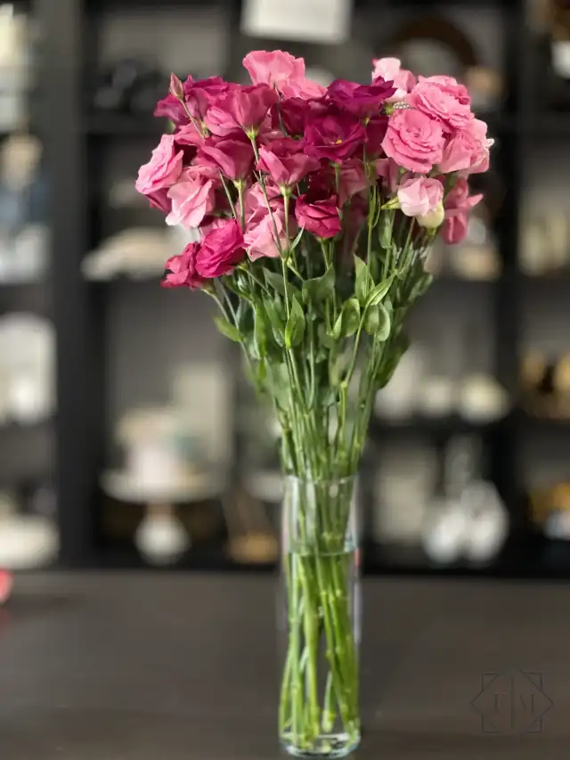 "Tizenöt siker story"